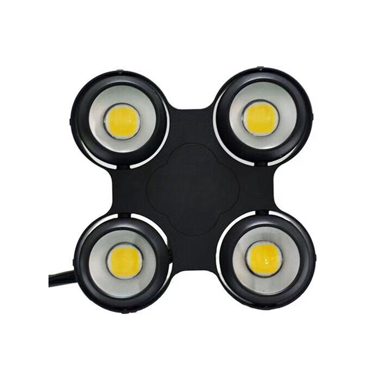 YC-R013 LED Four Eyes Waterproof Audience Light